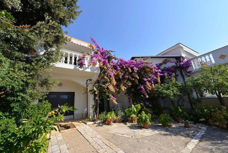 Ostaric Apartment Mandre Exterior foto
